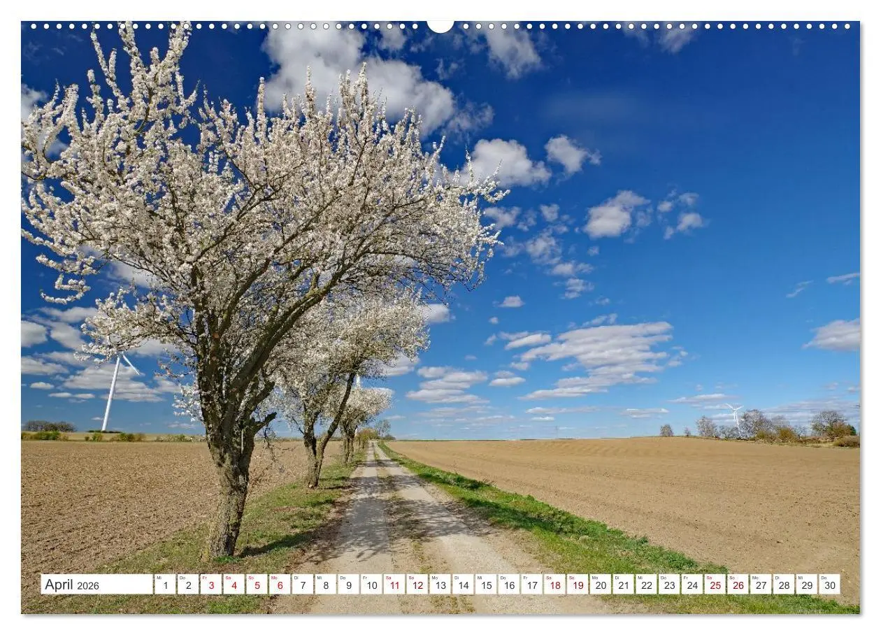Bild: 9783457646601 | Wildes Wendland (Wandkalender 2026 DIN A2 quer), CALVENDO...