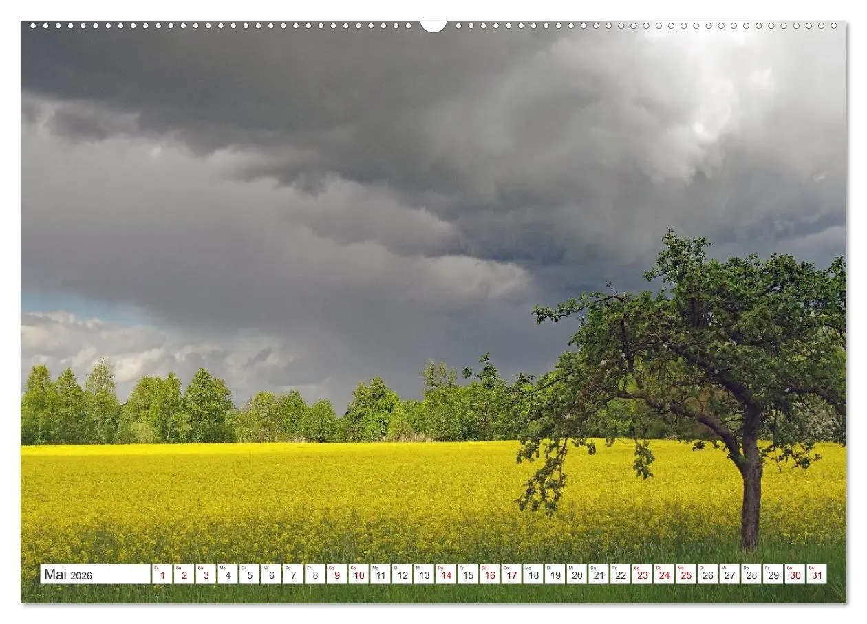 Bild: 9783457646601 | Wildes Wendland (Wandkalender 2026 DIN A2 quer), CALVENDO...