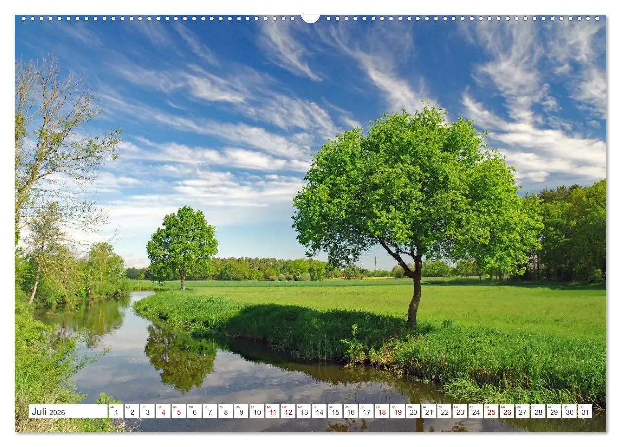 Bild: 9783457646601 | Wildes Wendland (Wandkalender 2026 DIN A2 quer), CALVENDO...