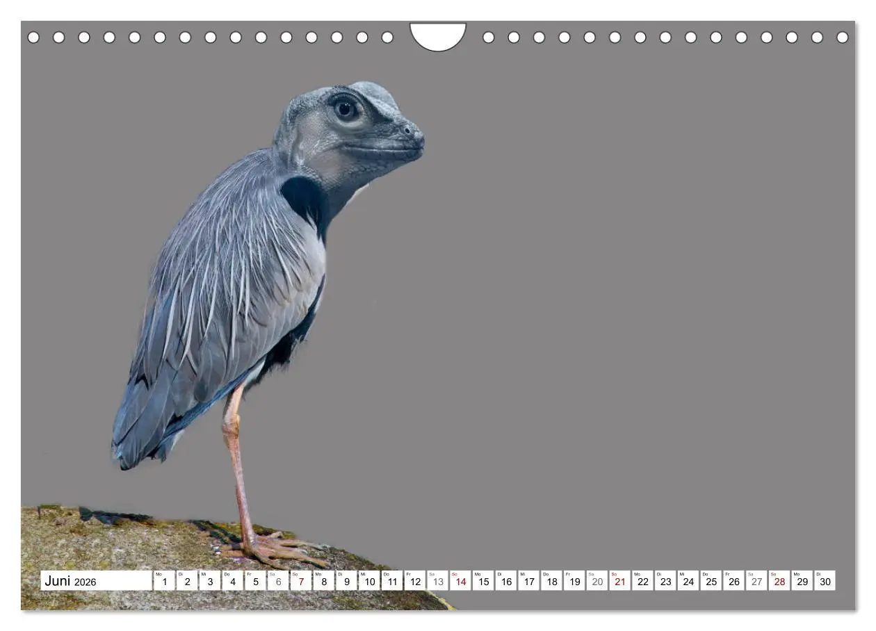 Bild: 9783457886601 | Lustige Tier-Hybriden (Wandkalender 2026 DIN A4 quer), CALVENDO...