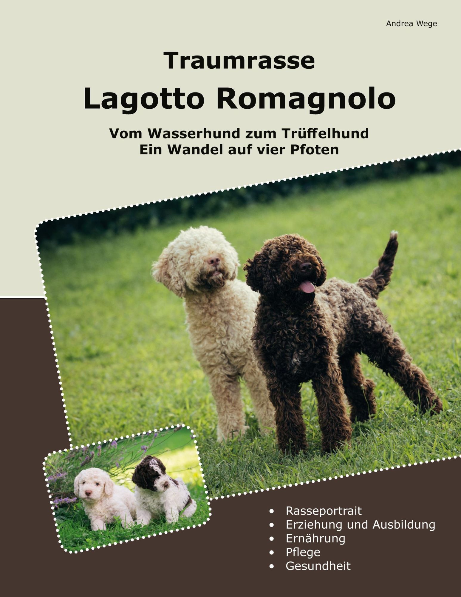 Cover: 9783769356601 | Traumrasse Lagotto Romagnolo | Andrea Wege | Taschenbuch | 184 S.
