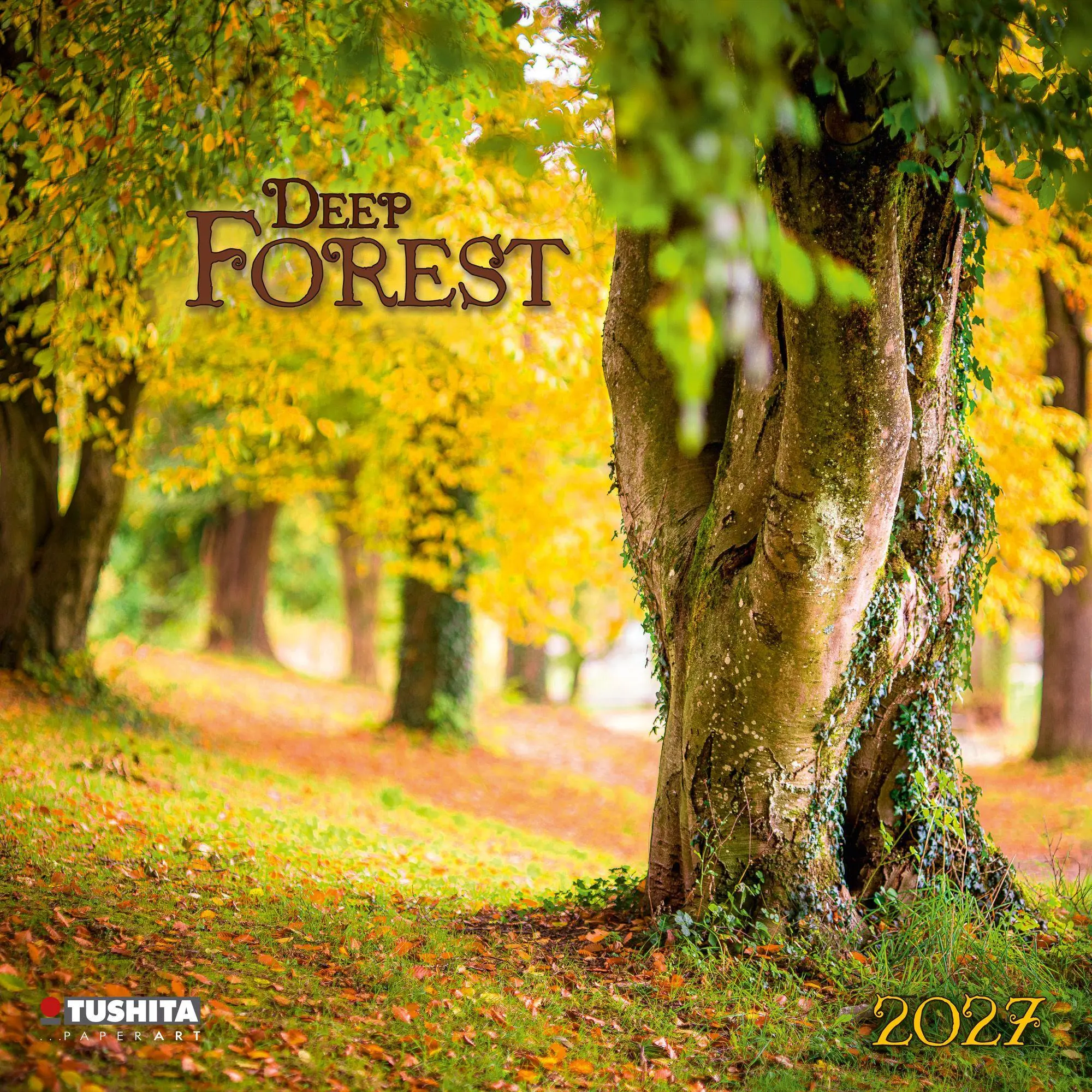 Cover: 9783959296601 | Deep Forest 2027 | Kalender 2027 | Kalender | Wonderful World | 28 S.
