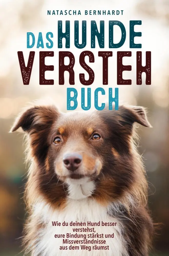 Cover: 9789403726601 | Das Hunde-Versteh-Buch | Natascha Bernhardt | Taschenbuch | 192 S.