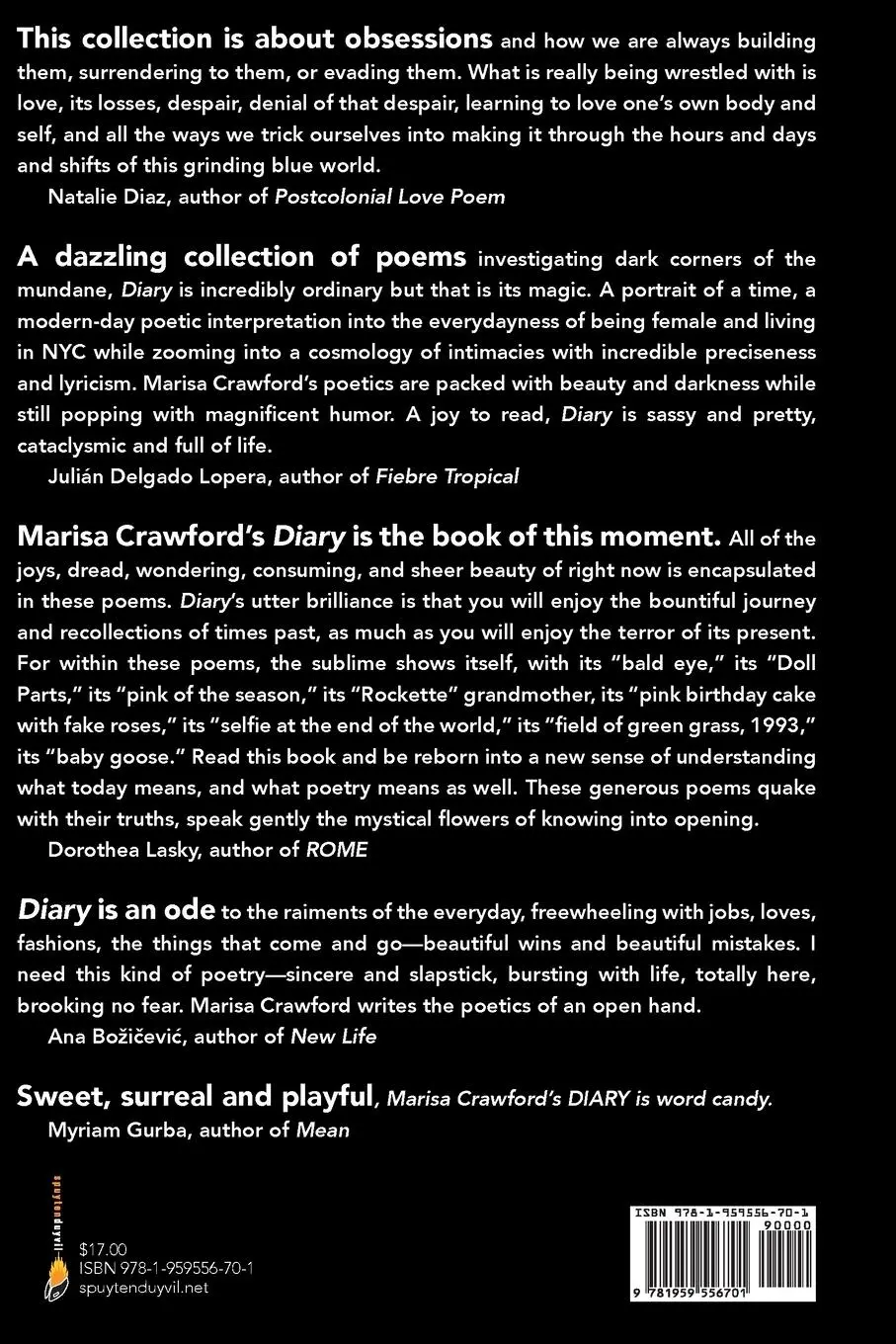 Rückseite: 9781959556701 | Diary | Marisa Crawford | Taschenbuch | Englisch | 2023