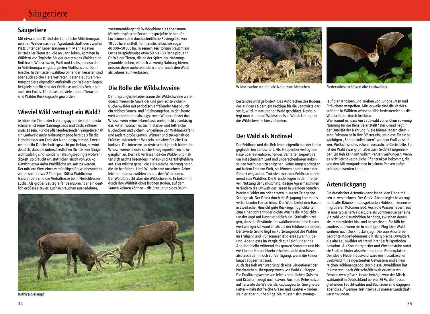 Bild: 9783440176801 | Der Kosmos Waldführer | Über 550 Tiere, Pflanzen und Pilze | Buch