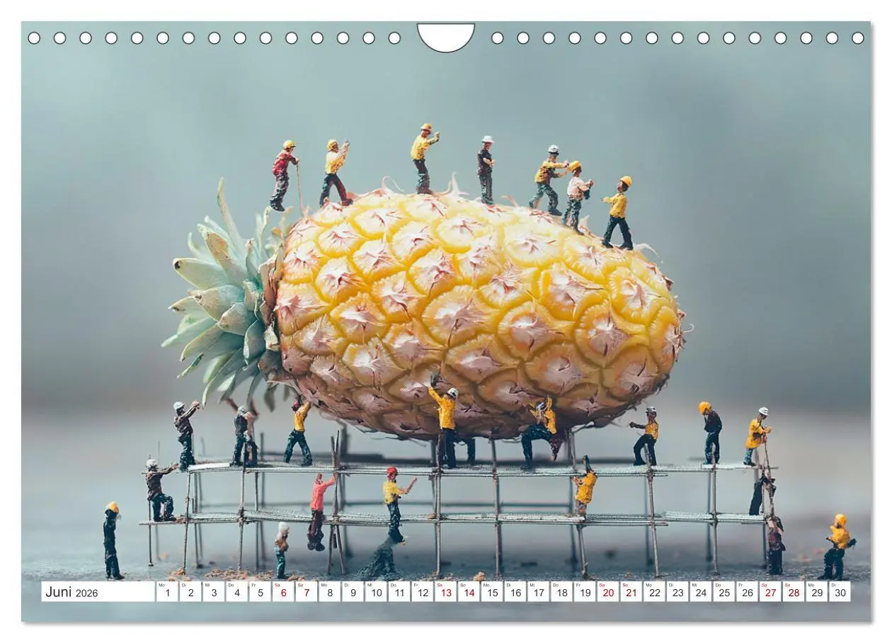 Bild: 9783457316801 | Miniatur-Universum: Ein Jahr in kleinen Welten (Wandkalender 2026...