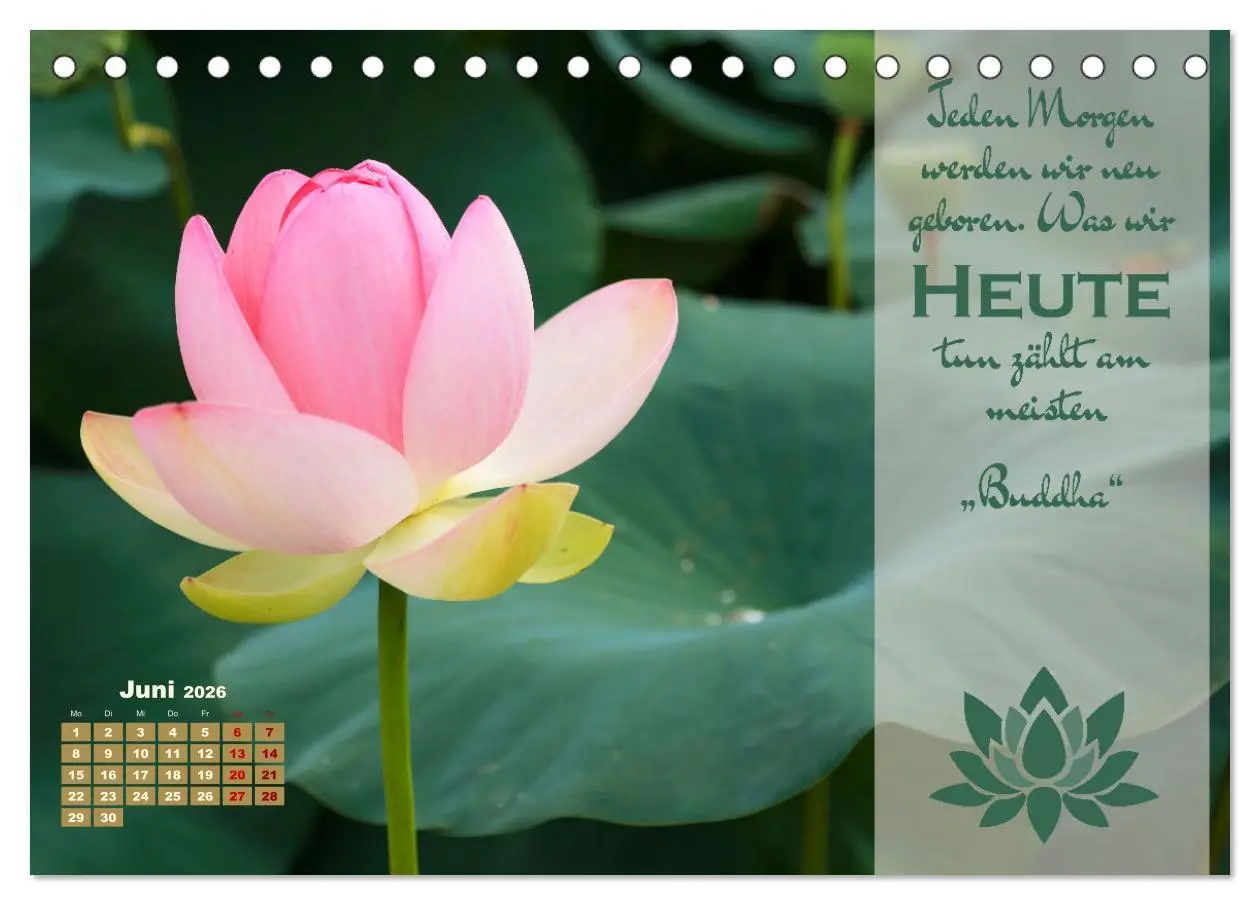 Bild: 9783457556801 | Erleuchtende Worte, Lebensweisheiten von Gautama Buddha by VogtArt...