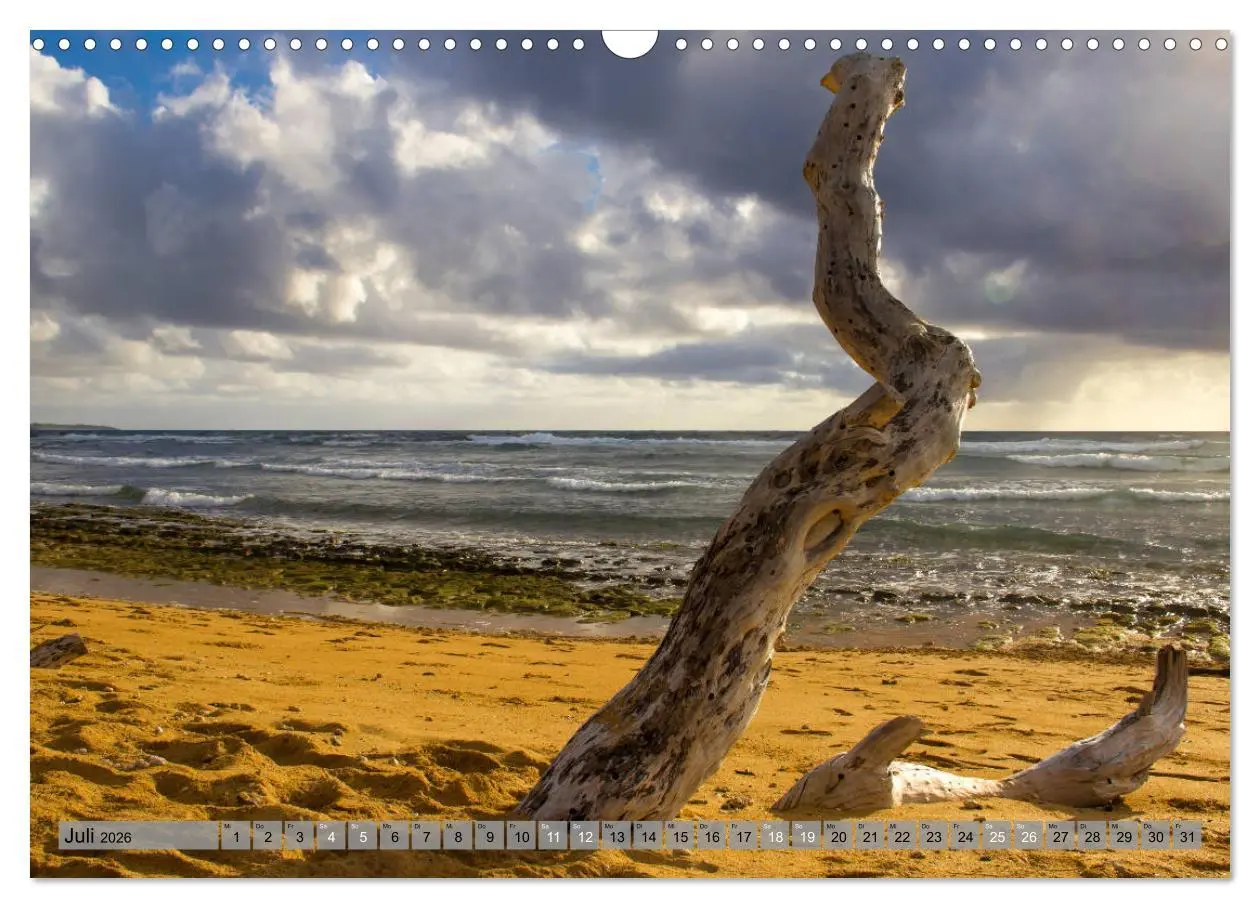 Bild: 9783457856901 | Kauai - Einmal Paradies und zurück (Wandkalender 2026 DIN A3 quer),...