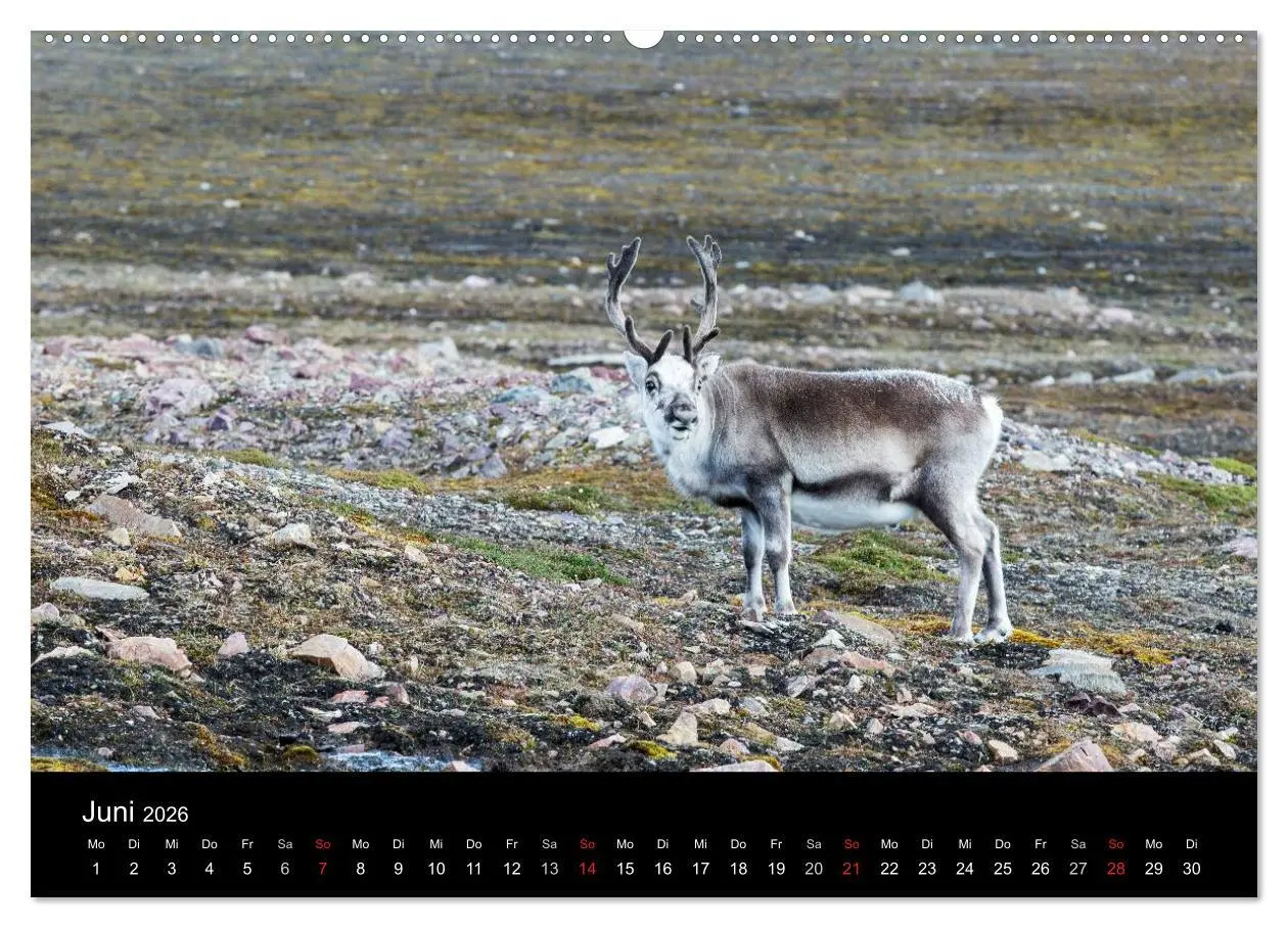 Bild: 9783516016901 | TRAUMZIEL ARKTIS, Impressionen vom Rand der Welt (hochwertiger...
