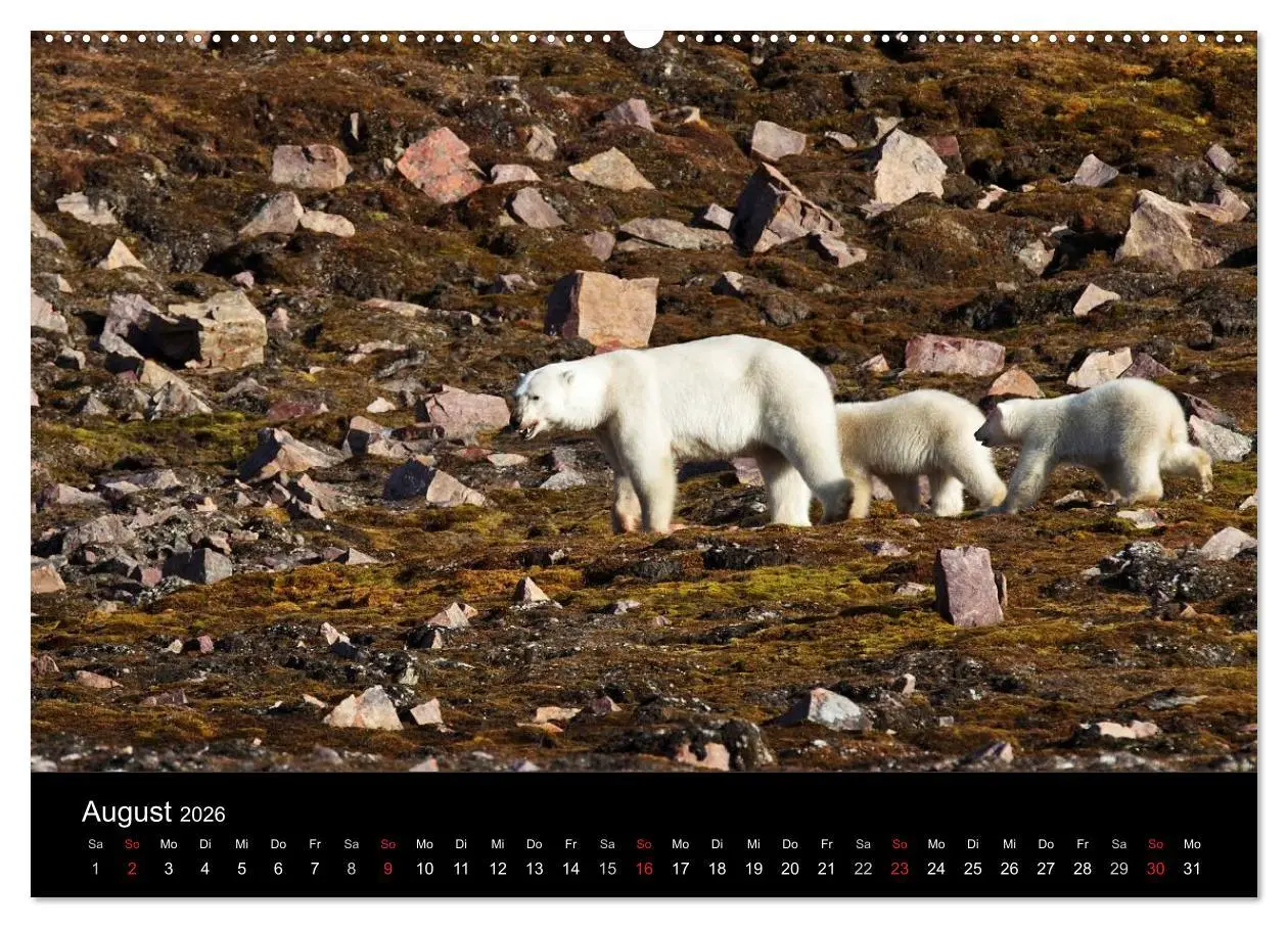 Bild: 9783516016901 | TRAUMZIEL ARKTIS, Impressionen vom Rand der Welt (hochwertiger...