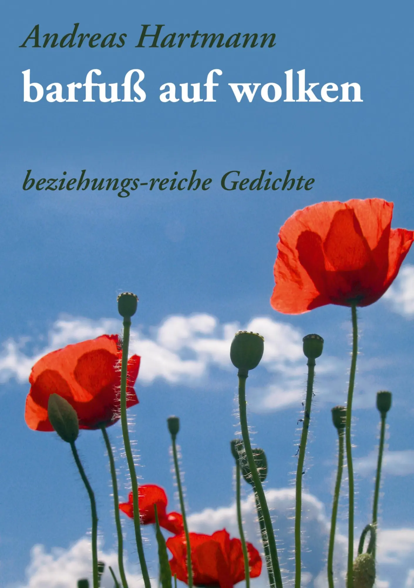 Cover: 9783833436901 | barfuß auf wolken | beziehungs-reiche Gedichte | Andreas Hartmann