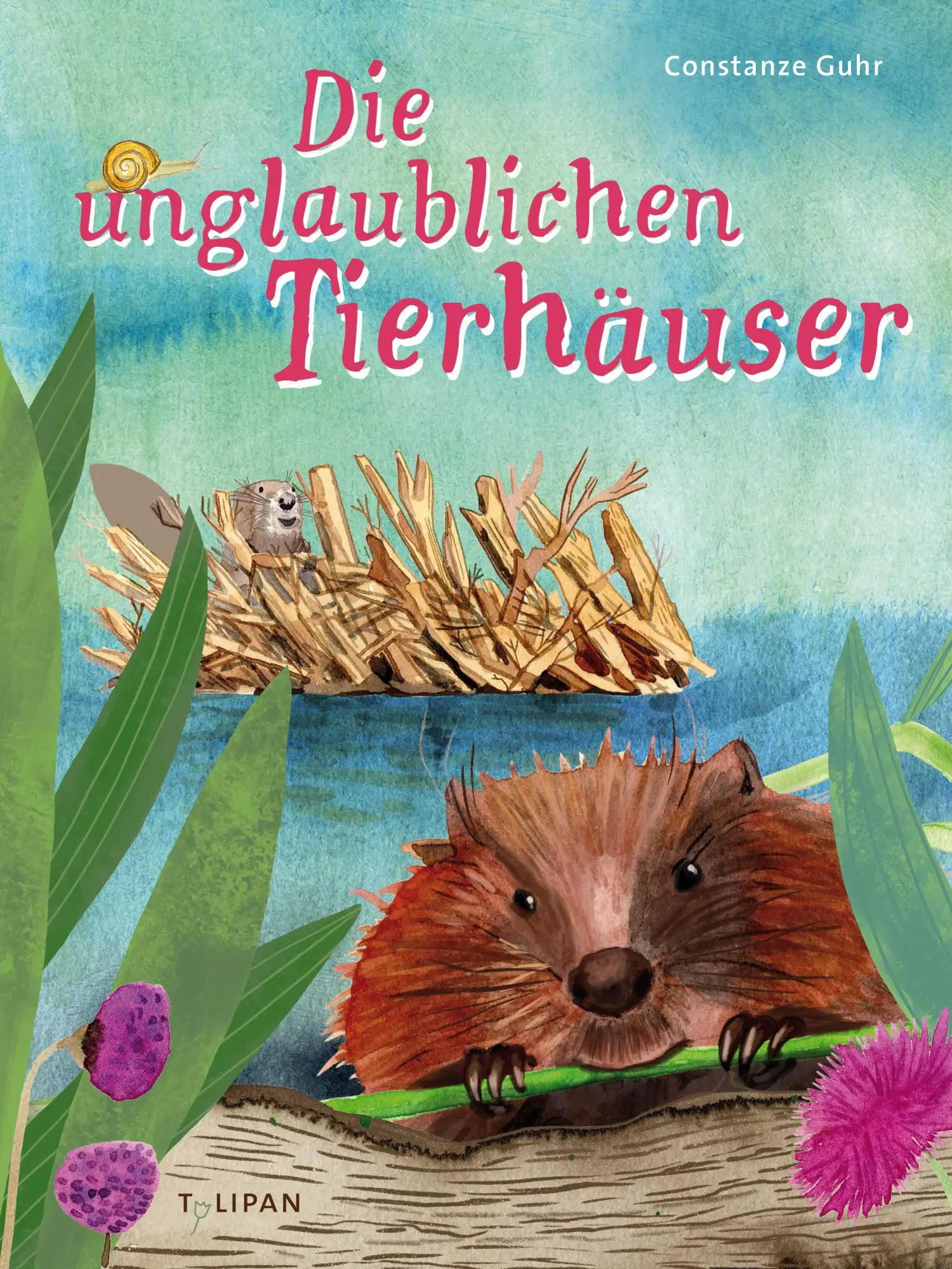 Cover: 9783864296901 | Die unglaublichen Tierhäuser | Constanze Guhr | Buch | 40 S. | Deutsch