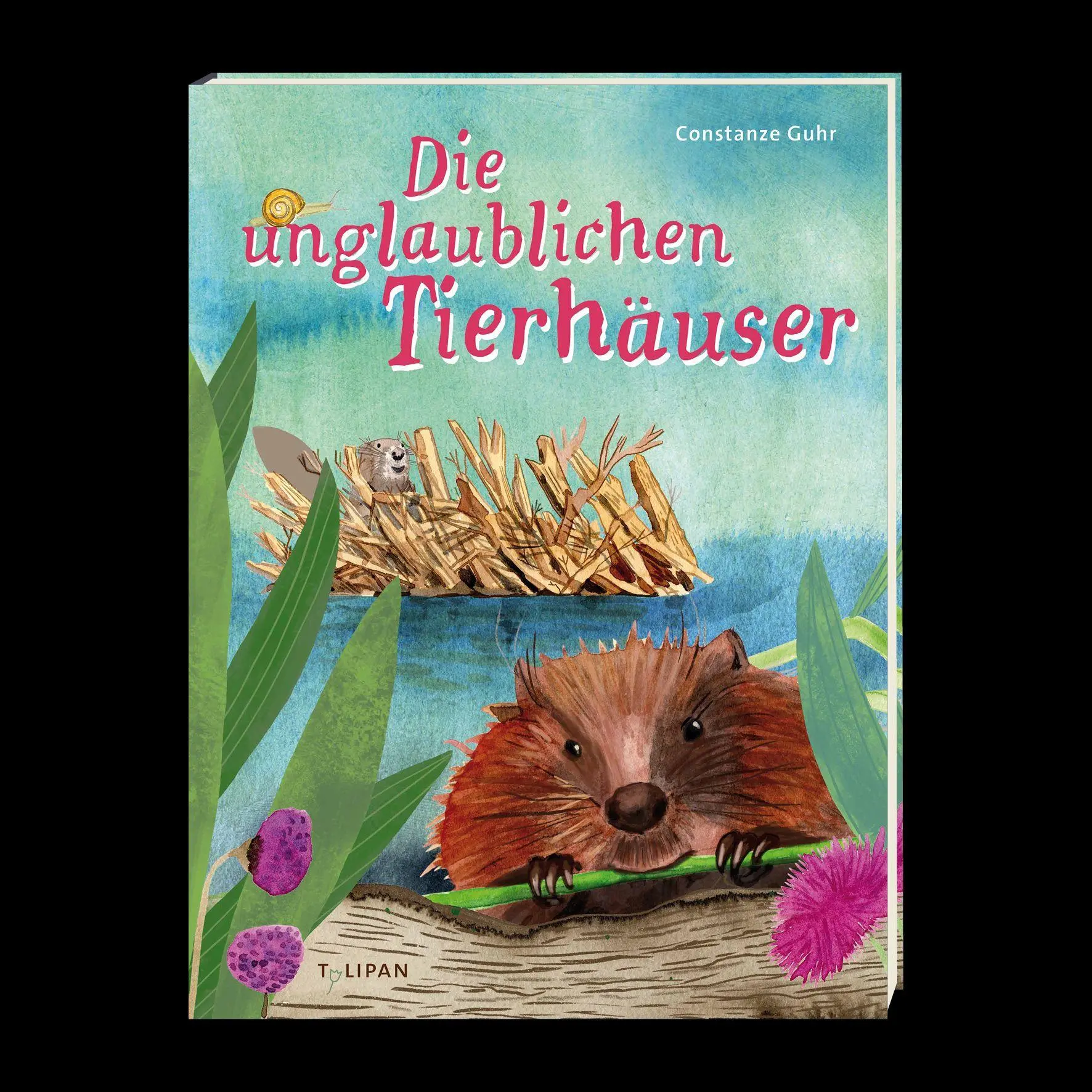 Bild: 9783864296901 | Die unglaublichen Tierhäuser | Constanze Guhr | Buch | 40 S. | Deutsch