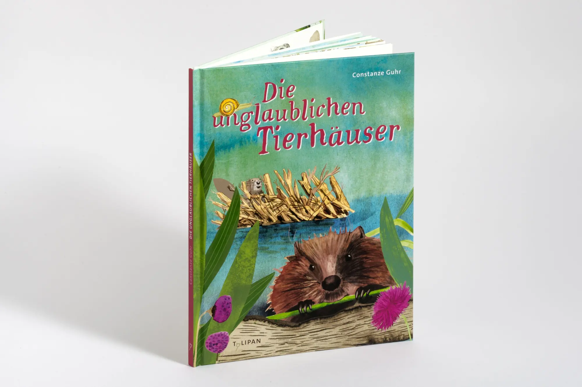 Bild: 9783864296901 | Die unglaublichen Tierhäuser | Constanze Guhr | Buch | 40 S. | Deutsch