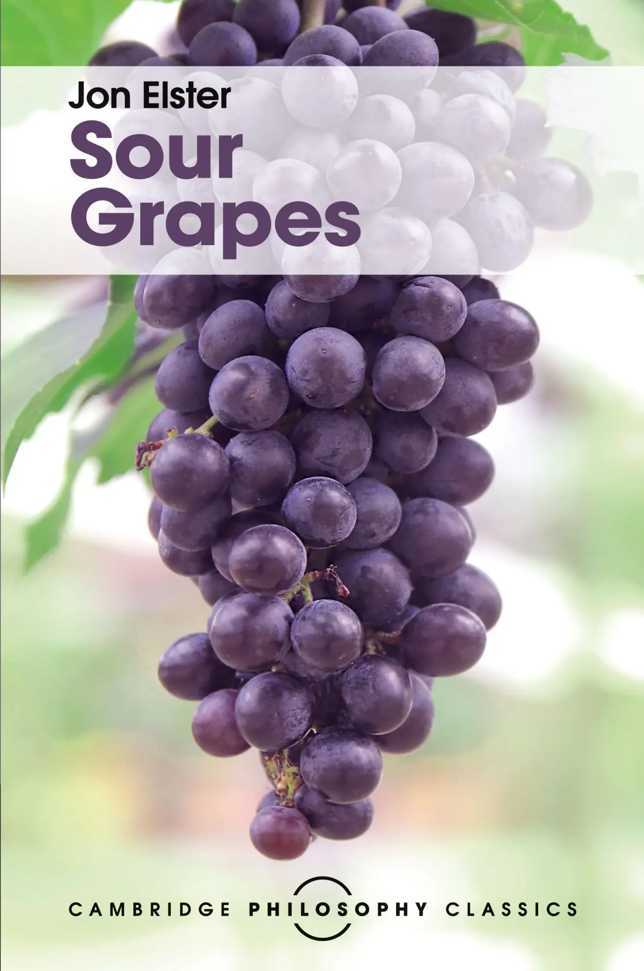 Cover: 9781316507001 | Sour Grapes | Jon Elster | Taschenbuch | Kartoniert / Broschiert