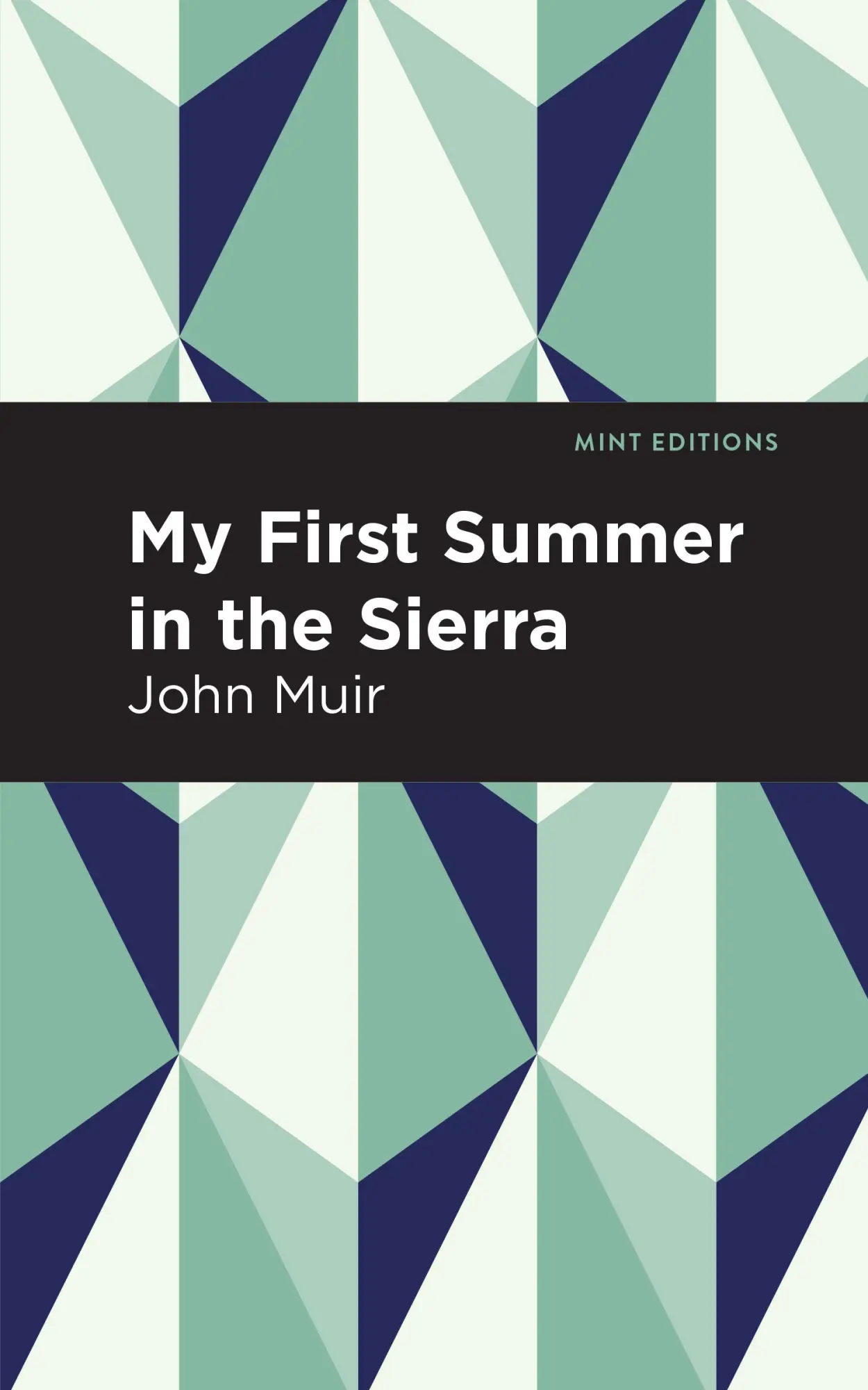 Bild: 9781513137001 | My First Summer in the Sierra | Large Print Edition | John Muir | Buch