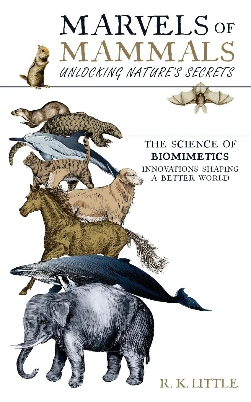 Cover: 9781963907001 | Marvels of Mammals | R K Little | Taschenbuch | Englisch | 2024
