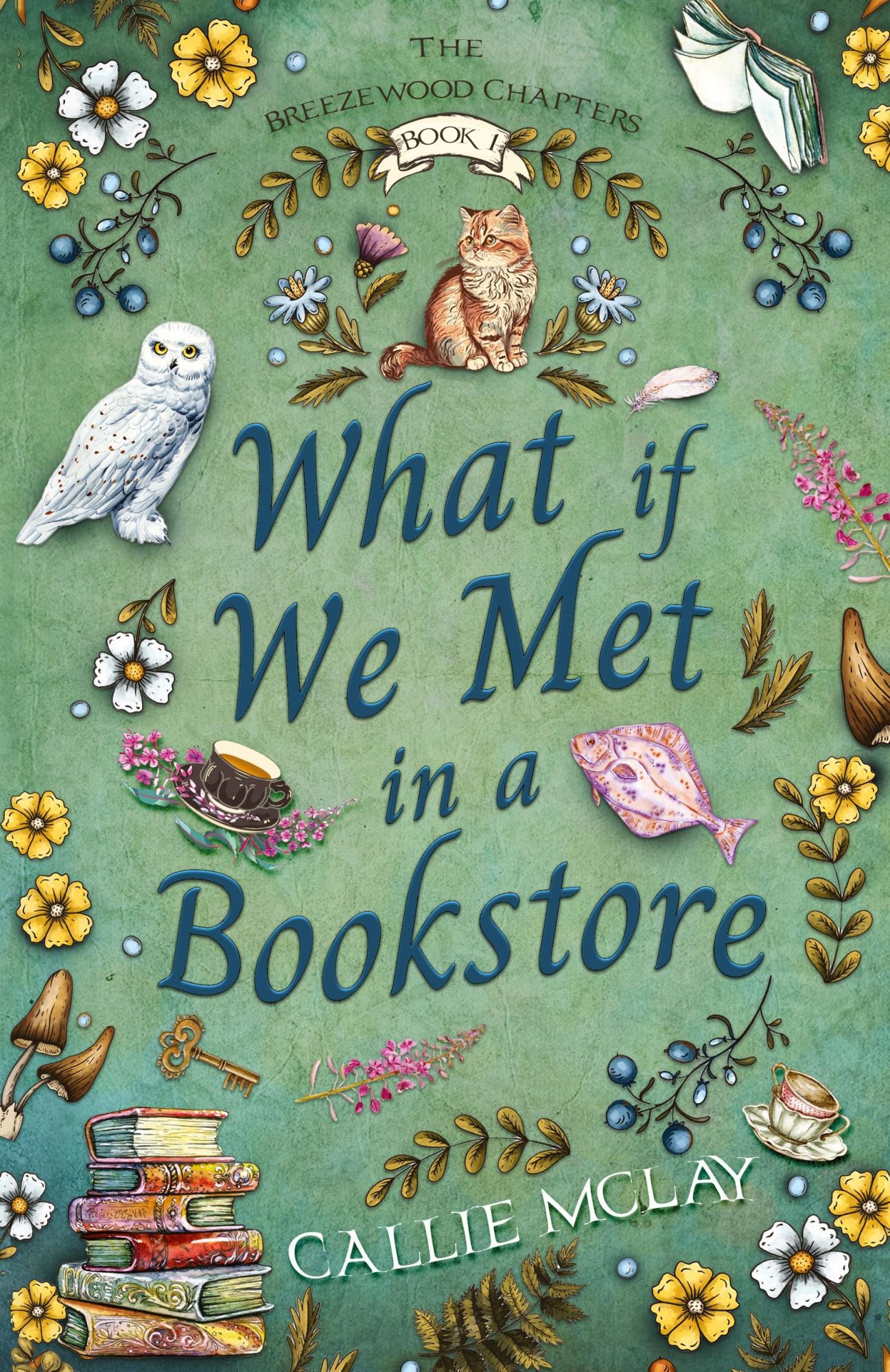 Cover: 9798989967001 | What If We Met In A Bookstore | Callie McLay | Taschenbuch | Englisch
