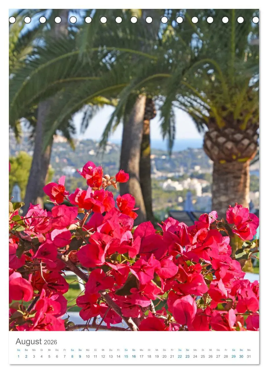 Bild: 9783516377101 | Mallorca - Mediterranes Lebensgefühl zum Träumen (Tischkalender...
