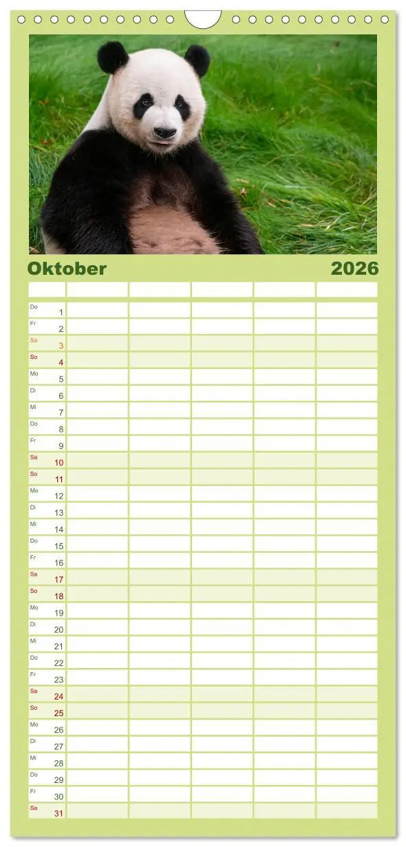 Bild: 9783516517101 | Familienplaner 2026 - Niedlicher Panda mit 5 Spalten (Wandkalender,...