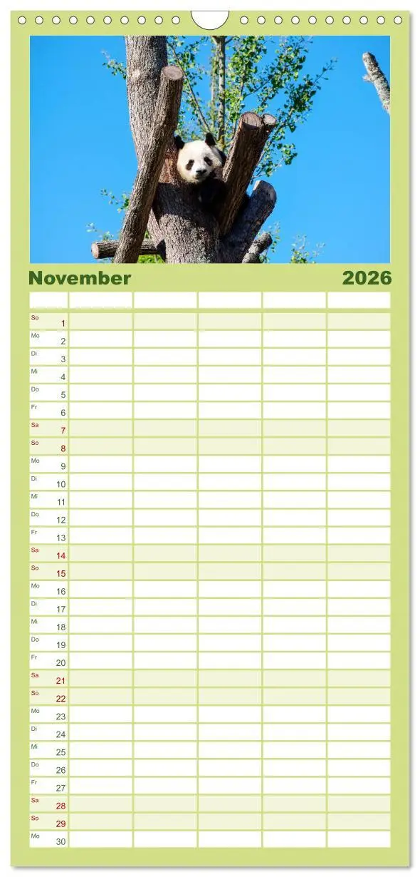 Bild: 9783516517101 | Familienplaner 2026 - Niedlicher Panda mit 5 Spalten (Wandkalender,...
