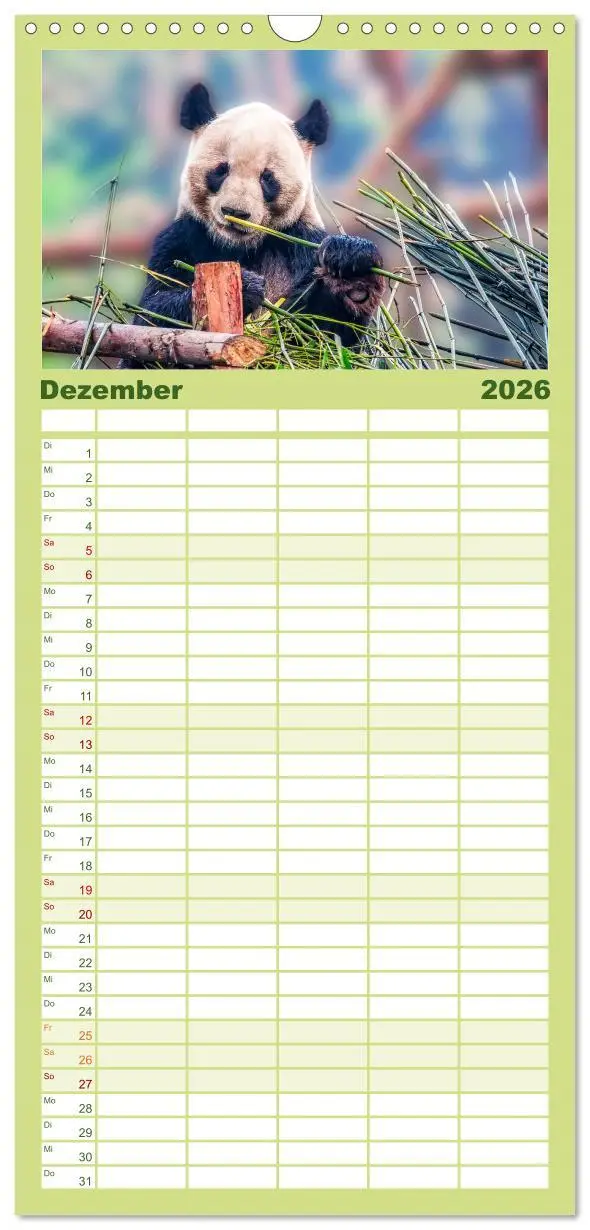 Bild: 9783516517101 | Familienplaner 2026 - Niedlicher Panda mit 5 Spalten (Wandkalender,...