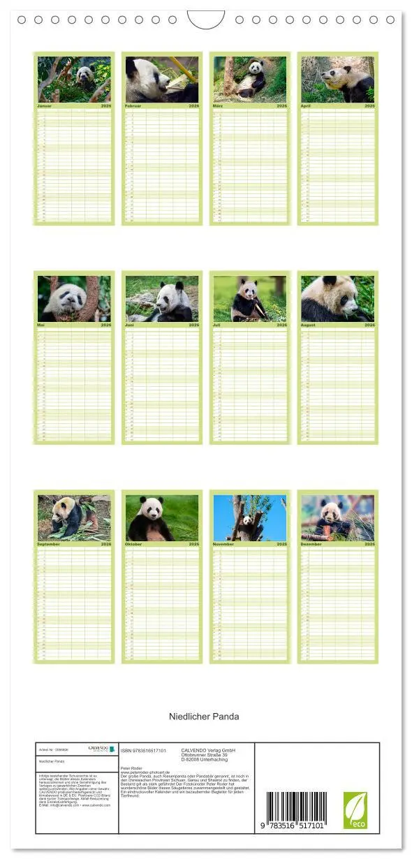 Bild: 9783516517101 | Familienplaner 2026 - Niedlicher Panda mit 5 Spalten (Wandkalender,...