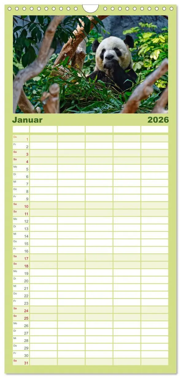 Bild: 9783516517101 | Familienplaner 2026 - Niedlicher Panda mit 5 Spalten (Wandkalender,...