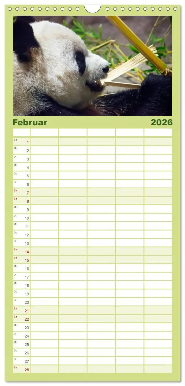 Bild: 9783516517101 | Familienplaner 2026 - Niedlicher Panda mit 5 Spalten (Wandkalender,...