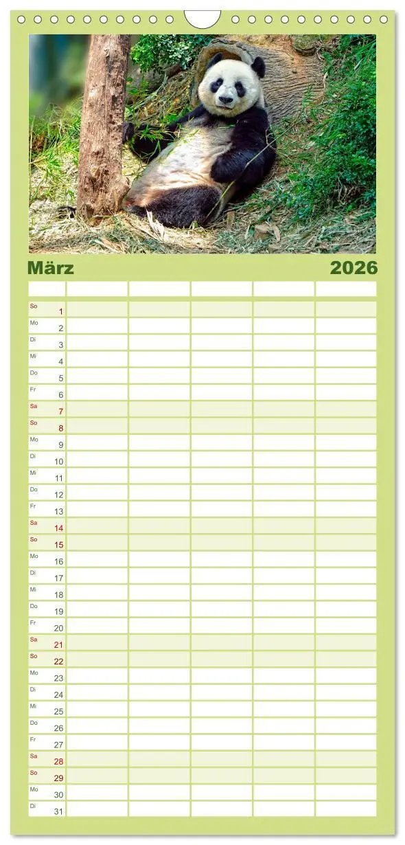 Bild: 9783516517101 | Familienplaner 2026 - Niedlicher Panda mit 5 Spalten (Wandkalender,...