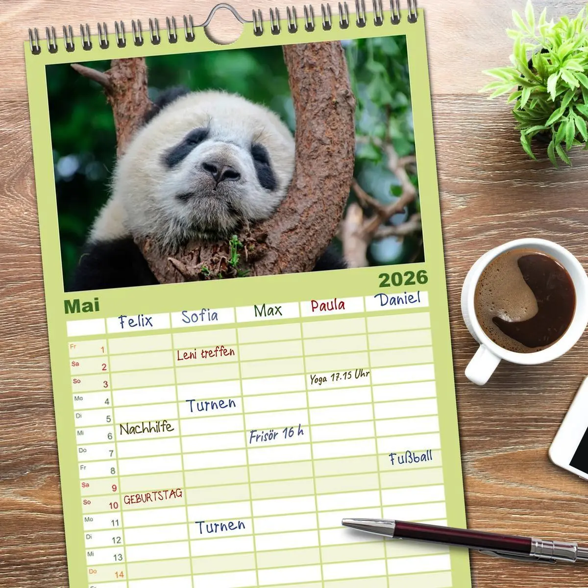 Bild: 9783516517101 | Familienplaner 2026 - Niedlicher Panda mit 5 Spalten (Wandkalender,...