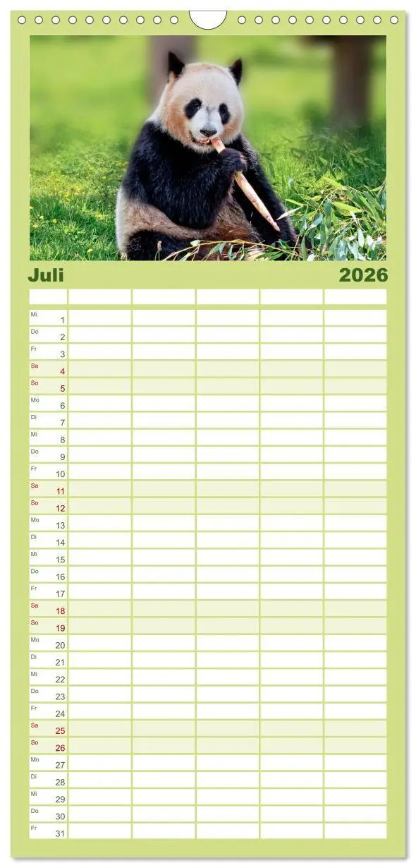 Bild: 9783516517101 | Familienplaner 2026 - Niedlicher Panda mit 5 Spalten (Wandkalender,...