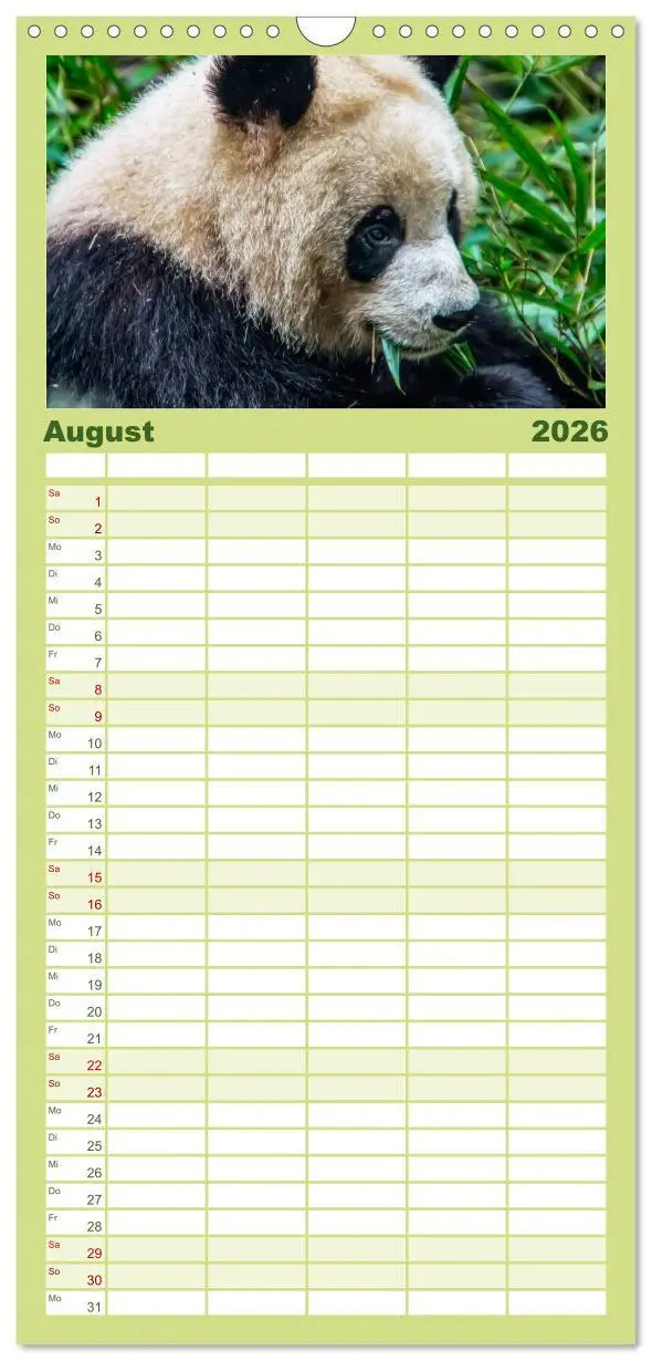Bild: 9783516517101 | Familienplaner 2026 - Niedlicher Panda mit 5 Spalten (Wandkalender,...
