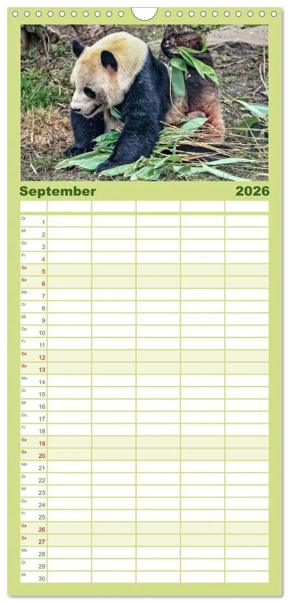 Bild: 9783516517101 | Familienplaner 2026 - Niedlicher Panda mit 5 Spalten (Wandkalender,...