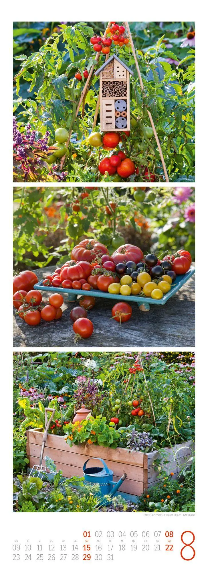 Bild: 9783838437101 | LandGlück Triplet-Kalender 2027 | Ackermann Kunstverlag GmbH | 14 S.