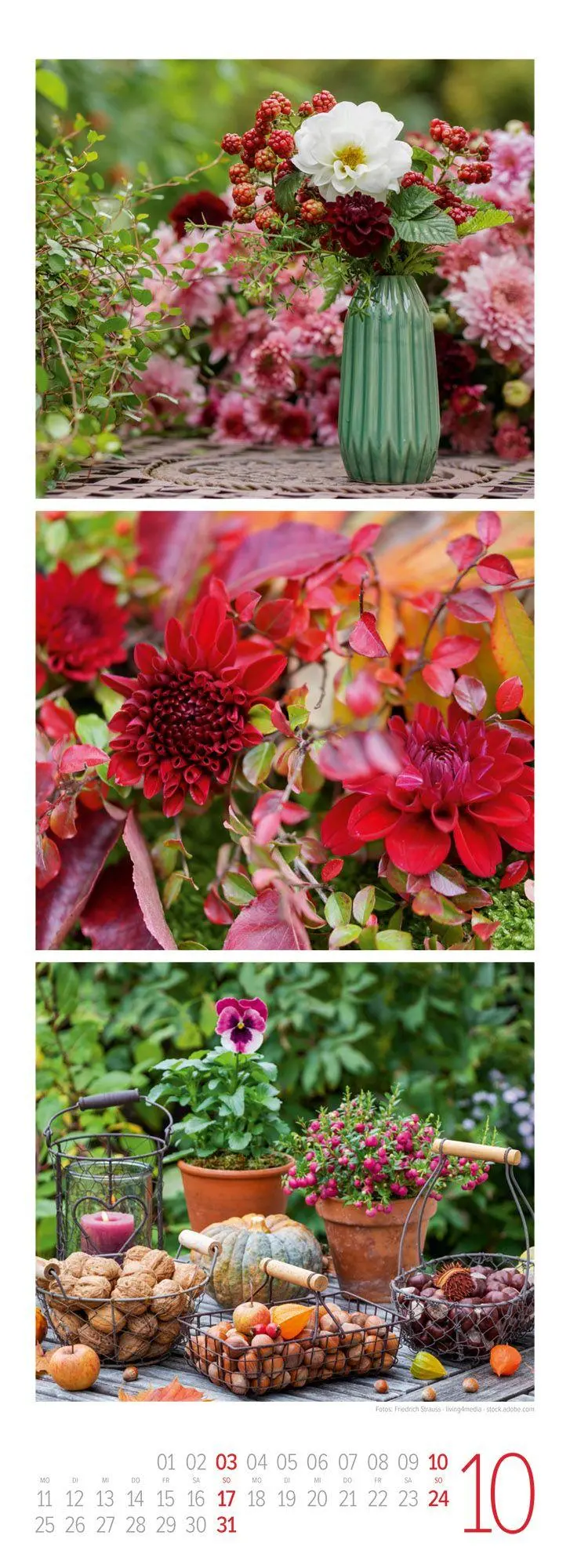 Bild: 9783838437101 | LandGlück Triplet-Kalender 2027 | Ackermann Kunstverlag GmbH | 14 S.