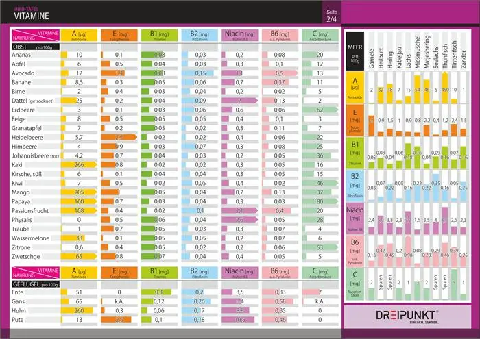 Bild: 9783864487101 | Info-Tafel-Set Vitamine | Schulze Media GmbH | Poster | 4 S. | Deutsch