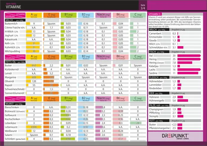 Bild: 9783864487101 | Info-Tafel-Set Vitamine | Schulze Media GmbH | Poster | 4 S. | Deutsch