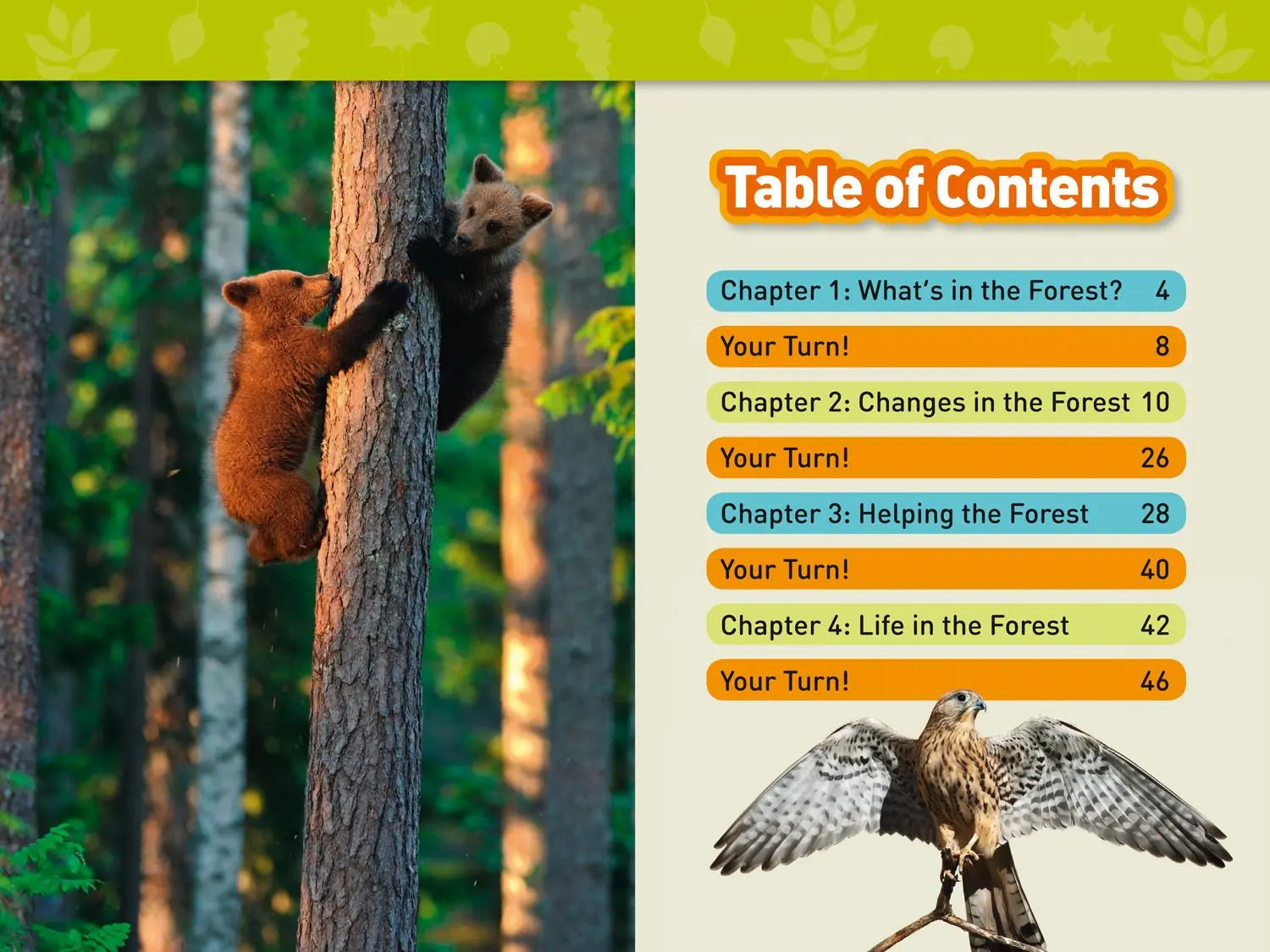 Bild: 9780008317201 | In the Forest | Level 2 | National Geographic Kids (u. a.) | Buch