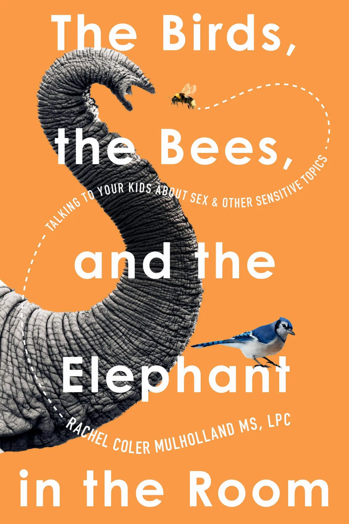 Cover: 9781454957201 | The Birds, the Bees, and the Elephant in the Room | Mulholland | Buch
