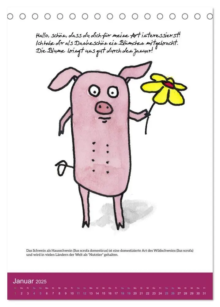 Bild: 9783435877201 | Schweinekalender - Alles was du über Schweine wissen wolltest!...