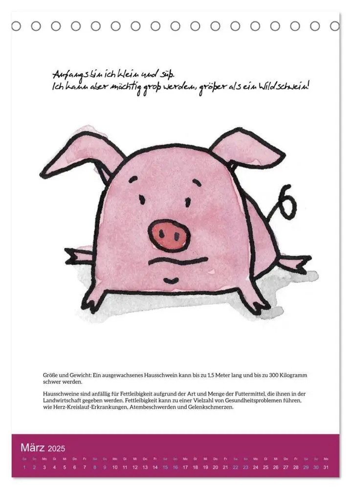 Bild: 9783435877201 | Schweinekalender - Alles was du über Schweine wissen wolltest!...