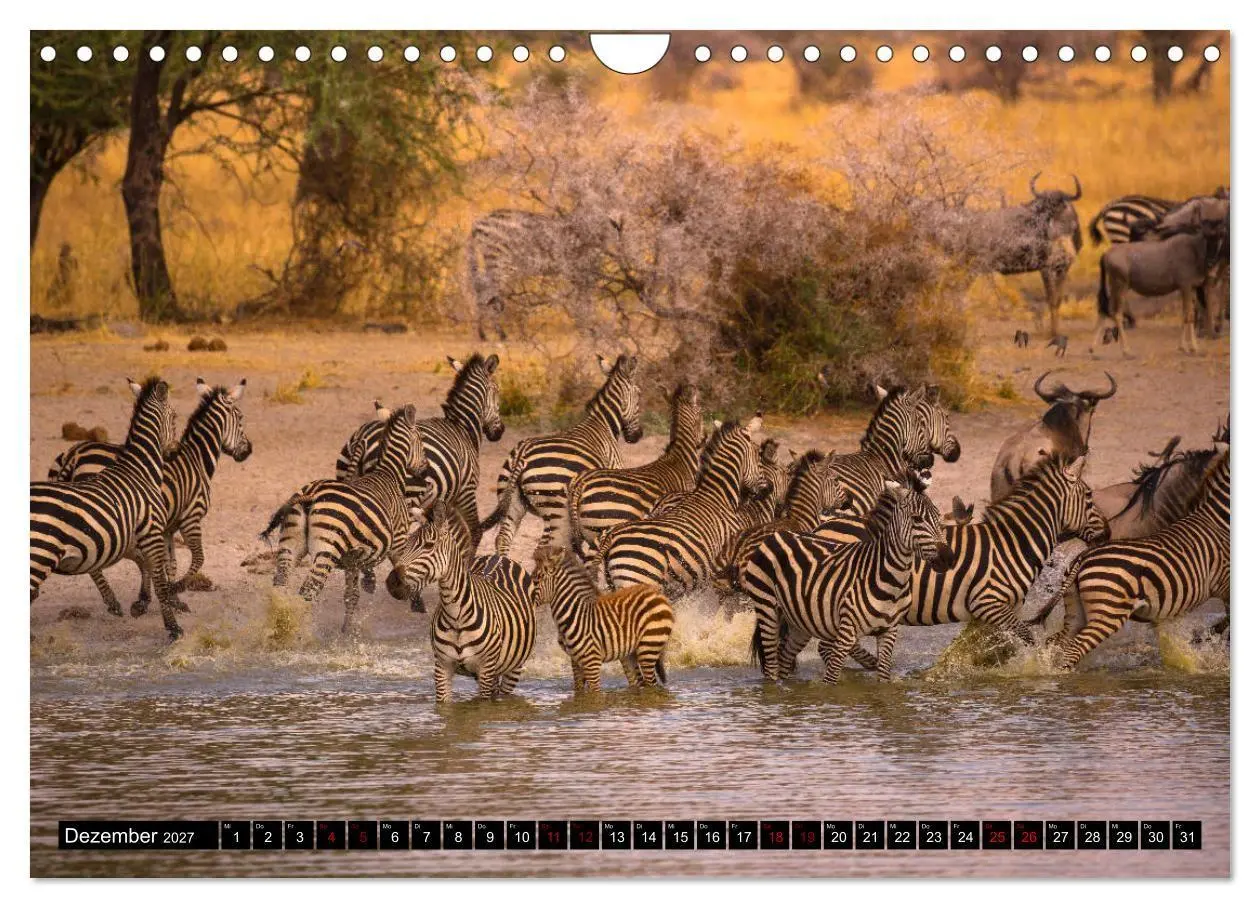 Bild: 9783569767201 | Tansania - Tierwanderung in der Serengeti (Wandkalender 2027 DIN A4...