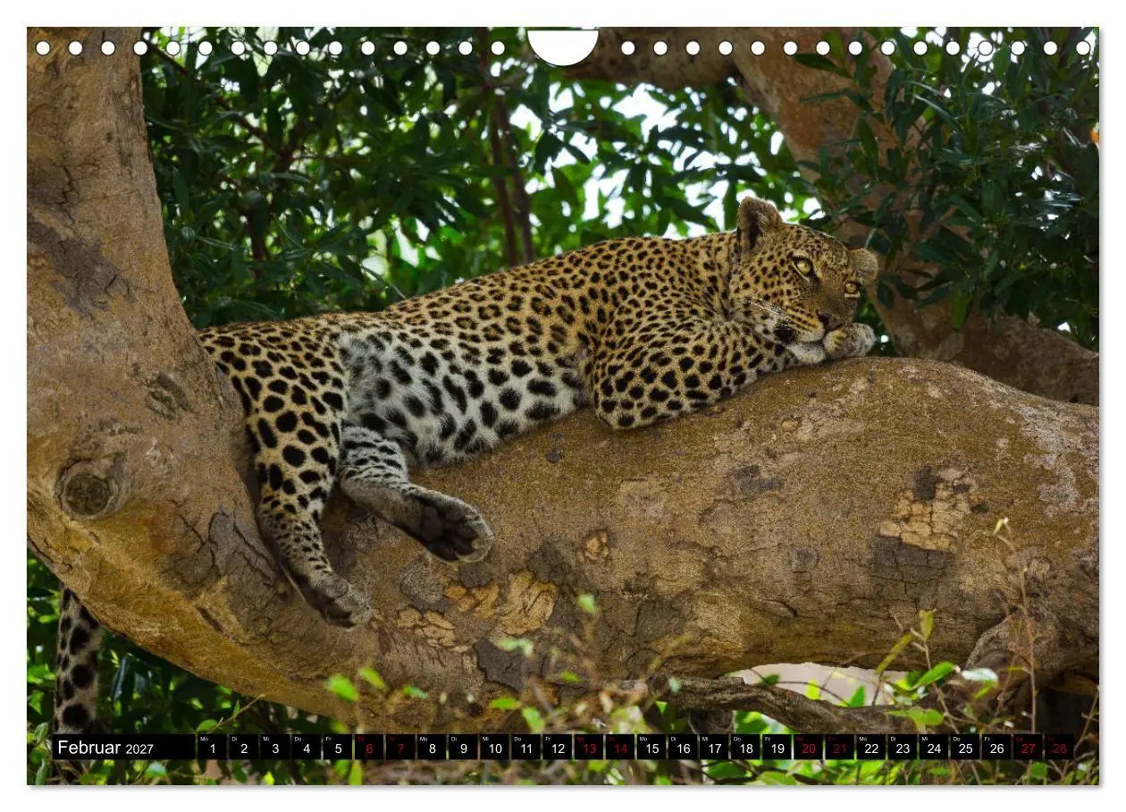 Bild: 9783569767201 | Tansania - Tierwanderung in der Serengeti (Wandkalender 2027 DIN A4...