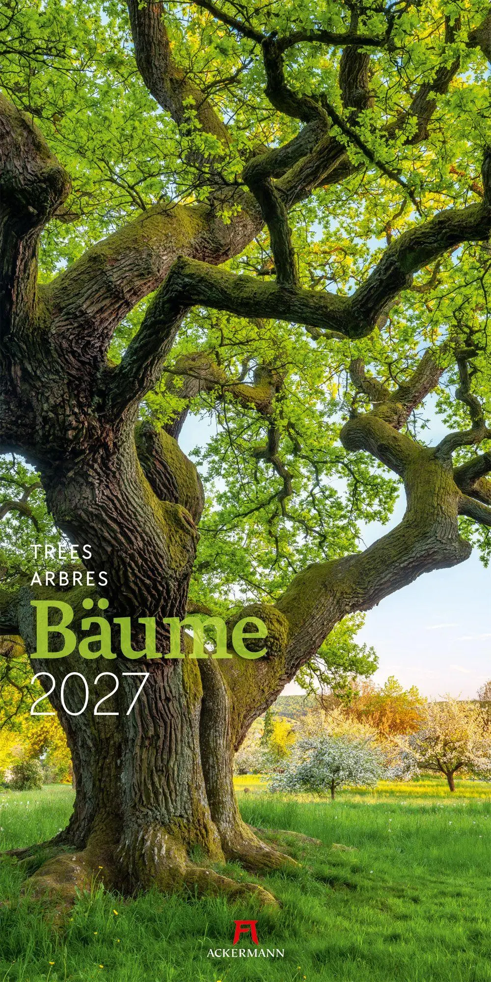 Cover: 9783838427201 | Bäume Kalender 2027 | Ackermann Kunstverlag GmbH | Kalender | 14 S.