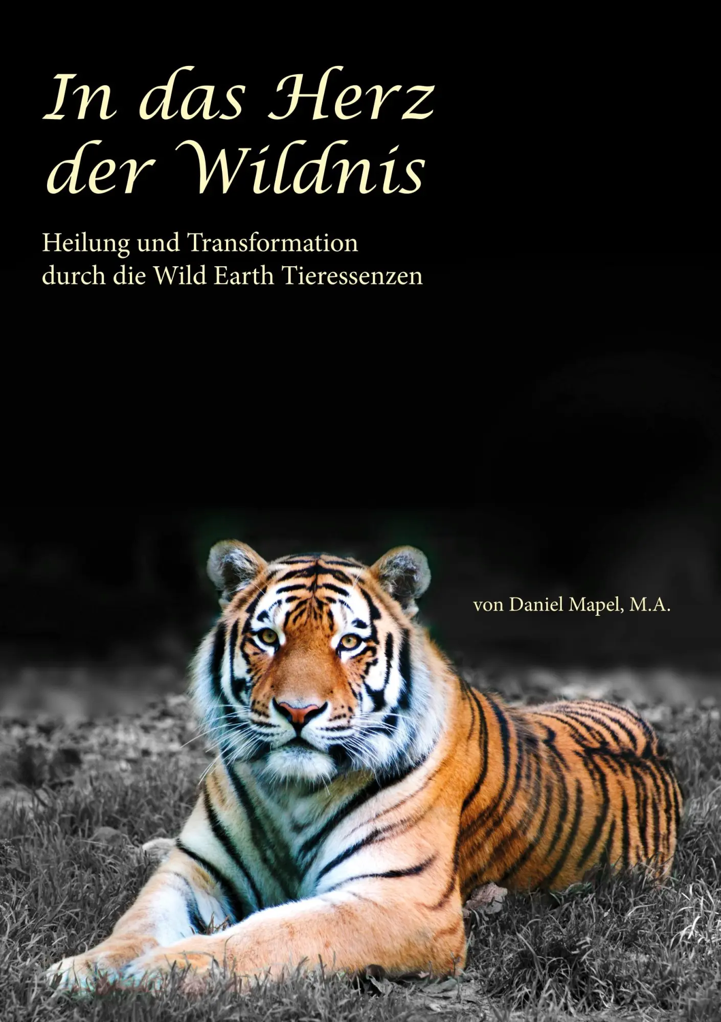 Cover: 9783839107201 | In das Herz der Wildnis | Daniel Mapel | Taschenbuch | 96 S. | Deutsch