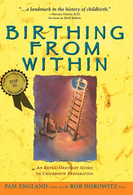 Cover: 9780965987301 | Birthing from Within | Pam England Cnm Ma (u. a.) | Taschenbuch | 1998
