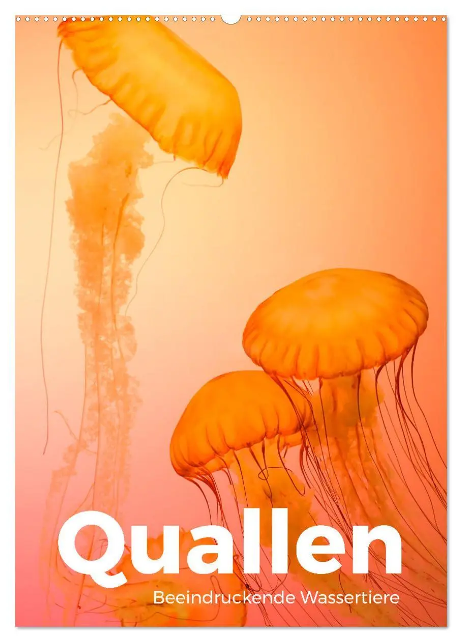Cover: 9783516357301 | Quallen - Beeindruckende Wassertiere (Wandkalender 2026 DIN A2...
