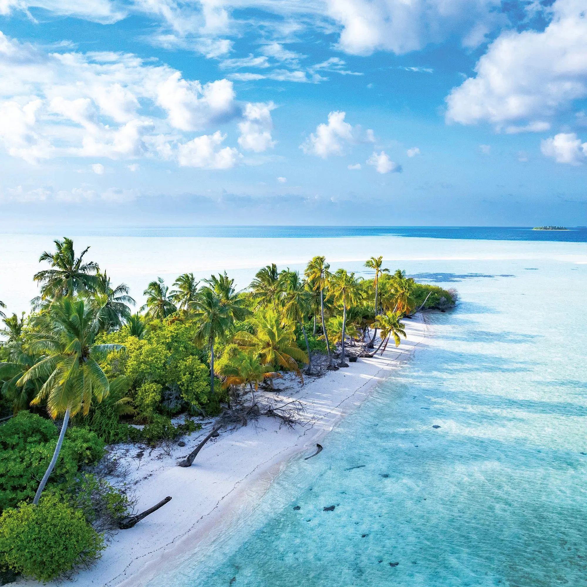 Bild: 9783959297301 | Strand und Meer / Beach and Sea 2027 | Kalender 2027 | Kalender | 2027