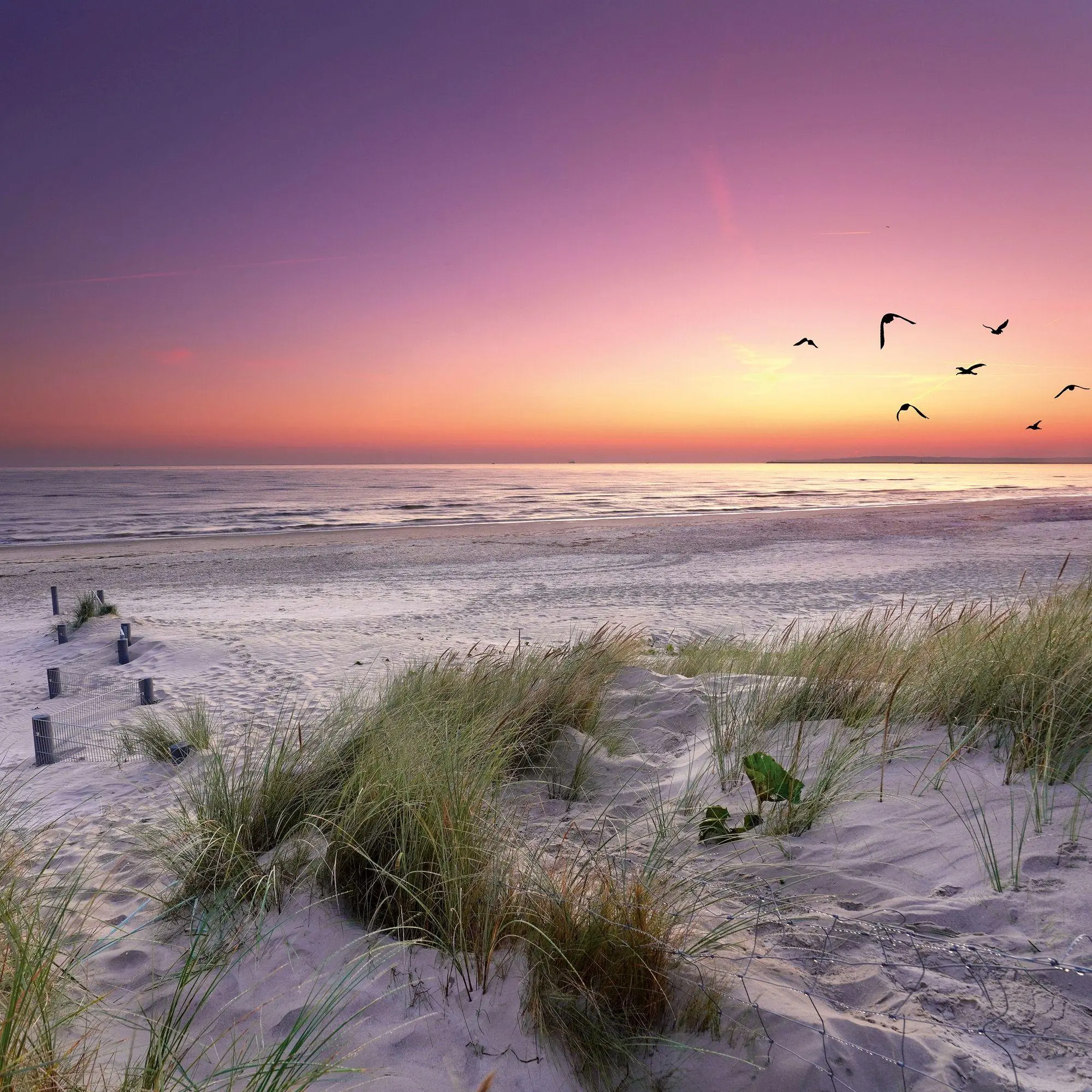 Bild: 9783959297301 | Strand und Meer / Beach and Sea 2027 | Kalender 2027 | Kalender | 2027